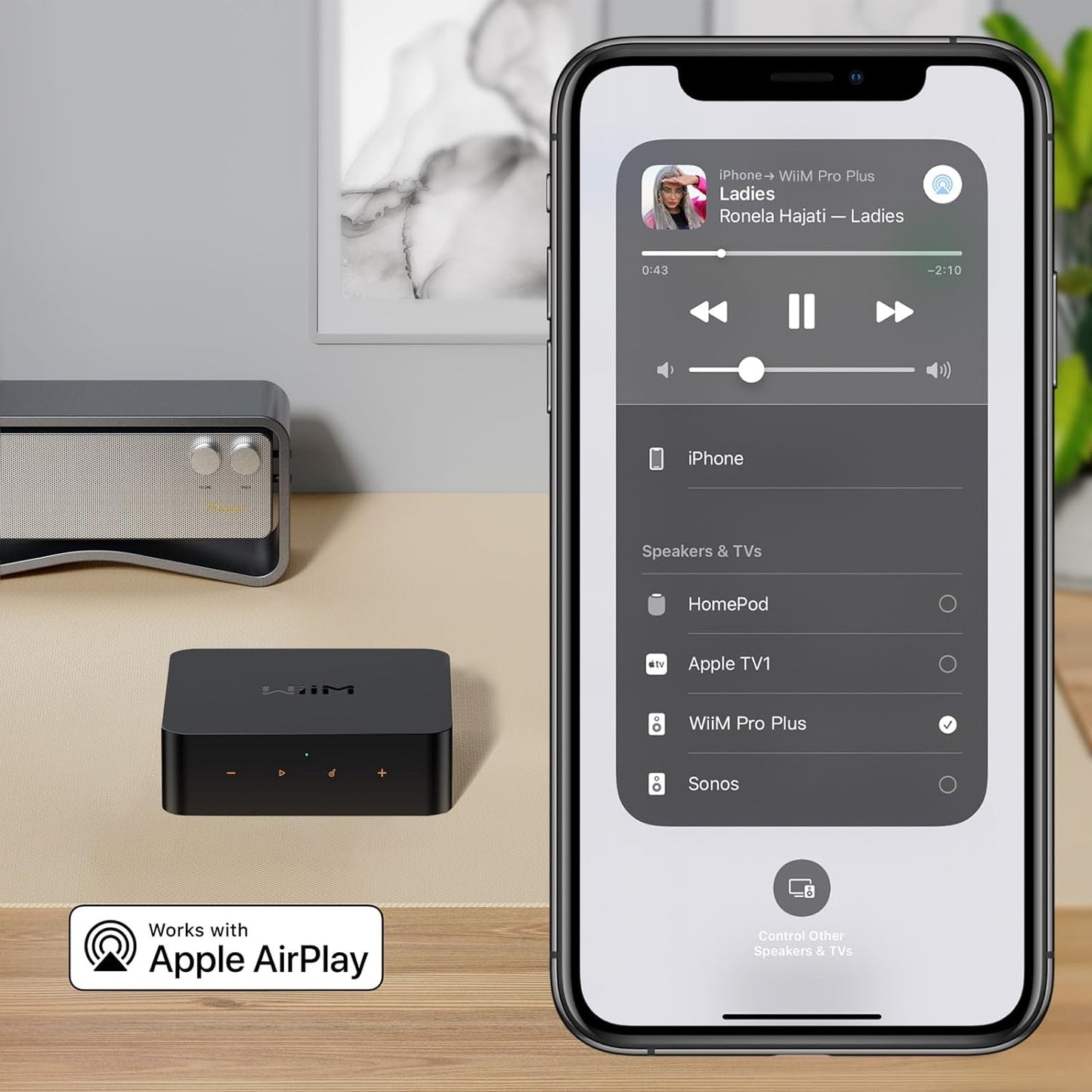 WiiM Pro Plus 無線串流播放器兼DAC前級 | WiFi串流 & Airplay2 & Chromecast & 藍牙 串流播放器 WiiM-Pro-Plus-Audio-Streamer-3