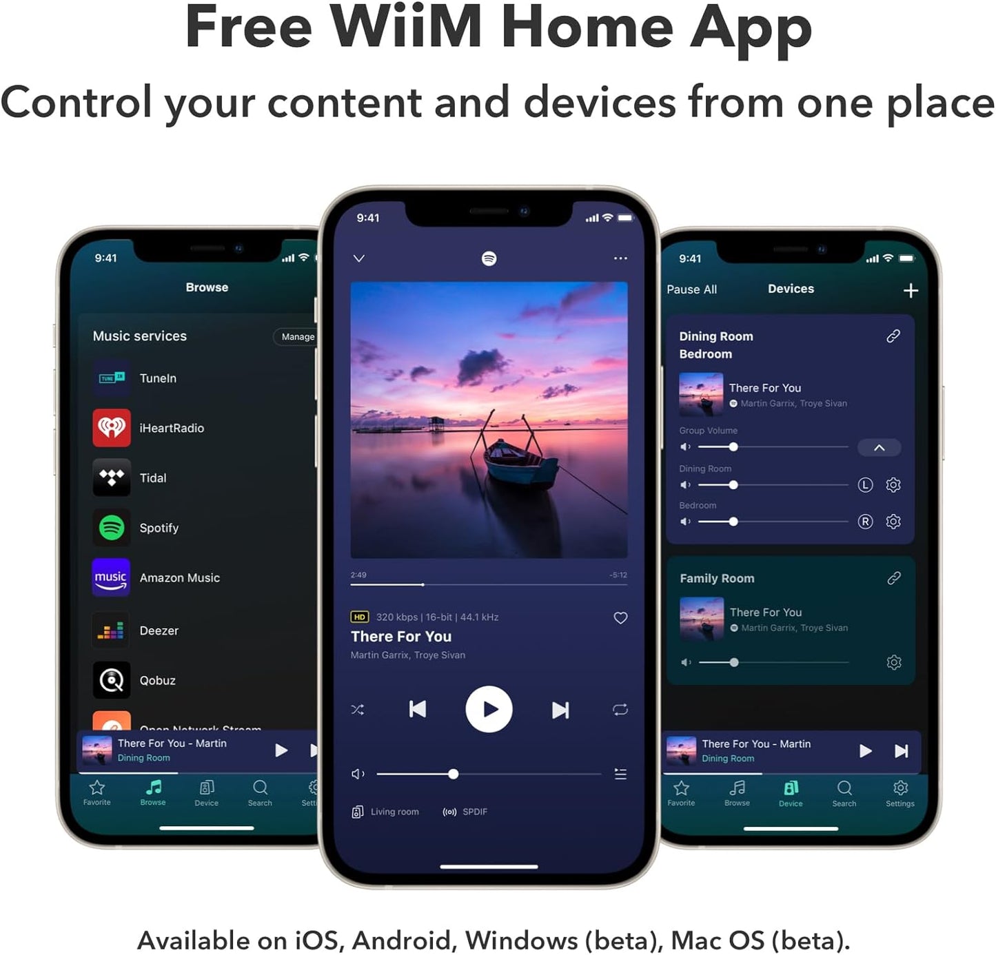 WiiM Pro Plus 無線串流播放器兼DAC前級 | WiFi串流 & Airplay2 & Chromecast & 藍牙 串流播放器 WiiM-Pro-Plus-Audio-Streamer-6
