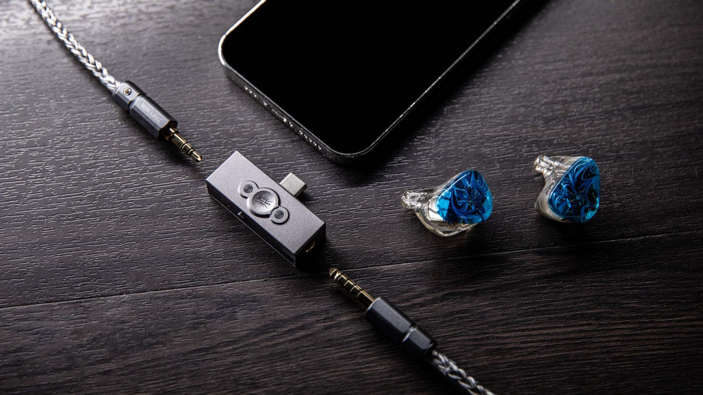 Kiwi Ears Allegro Pro 微型 耳擴 DAC