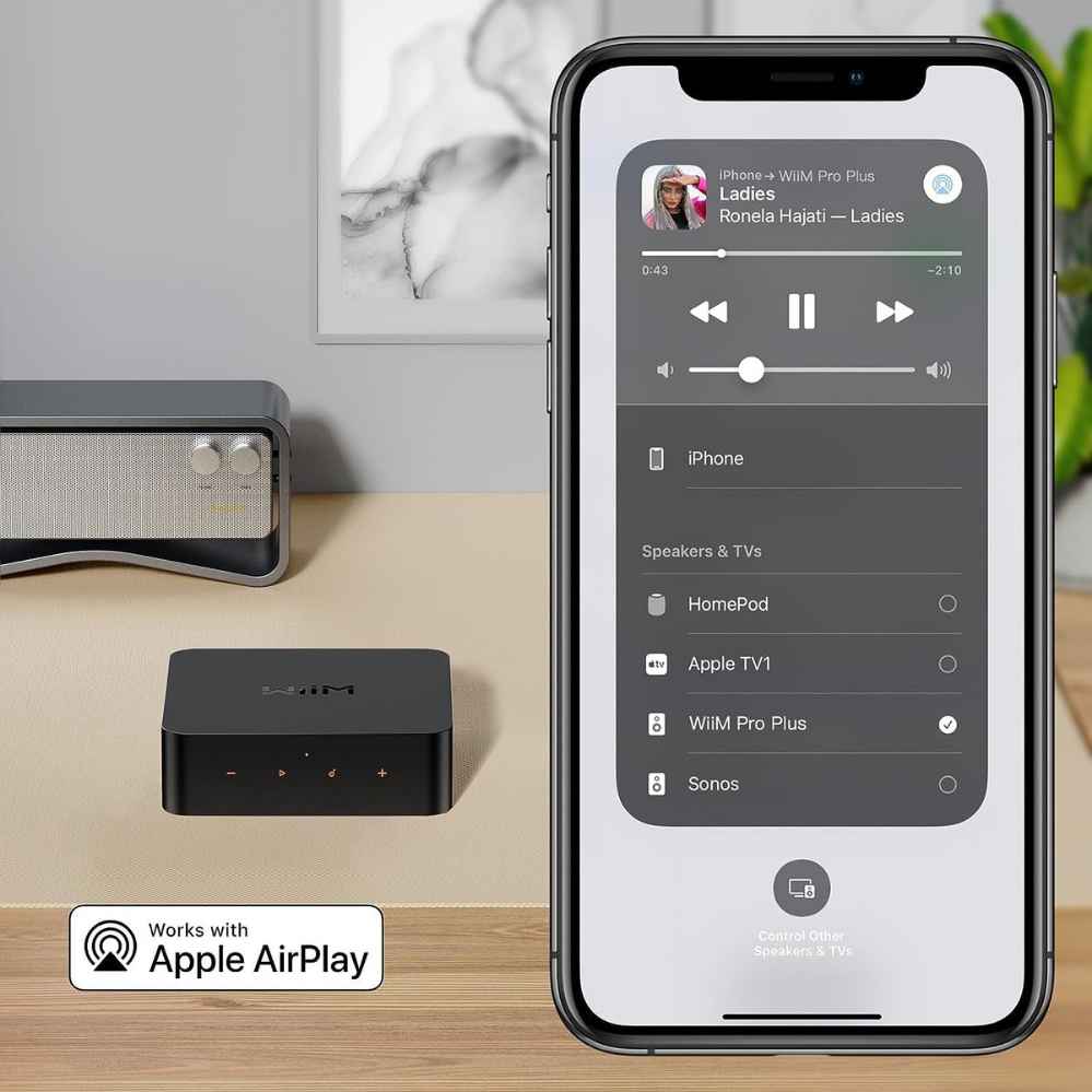 WiiM Pro Plus 無線串流播放器兼DAC前級 | WiFi串流 & Airplay2 & Chromecast & 藍牙 串流播放器 wiim-pro-plus-_11