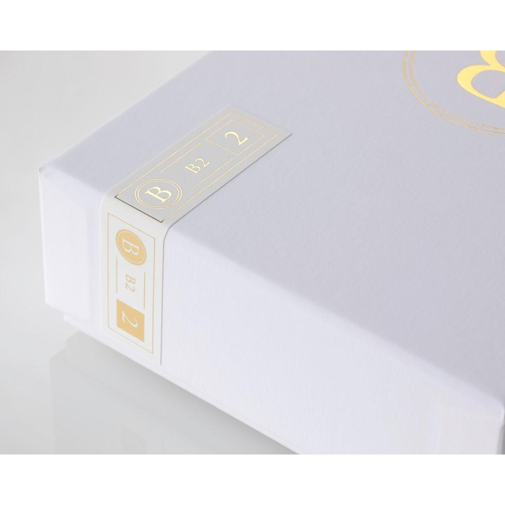 final B2 入耳式耳機 | 單一動鐵單體 入耳式有線耳機 final-audio-b2-earphone-_13