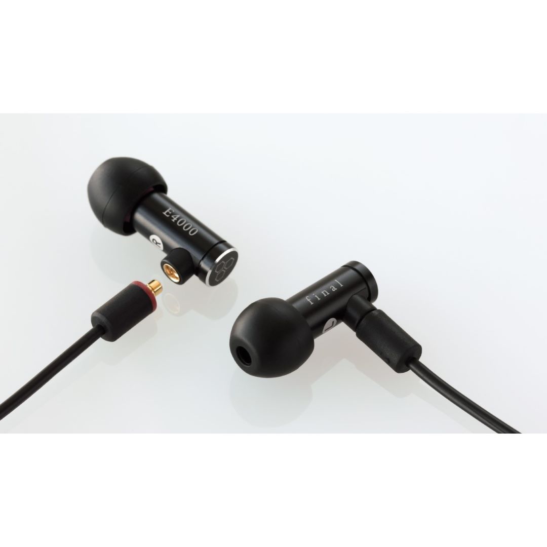 Final Audio E4000 In-Ear Earphones with Dynamic Drivers and 