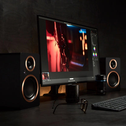 丹麥 Argon Audio Fenris A4 主動式喇叭 | 支援 HDMI ARC 電視輸入 無線藍牙 黑膠