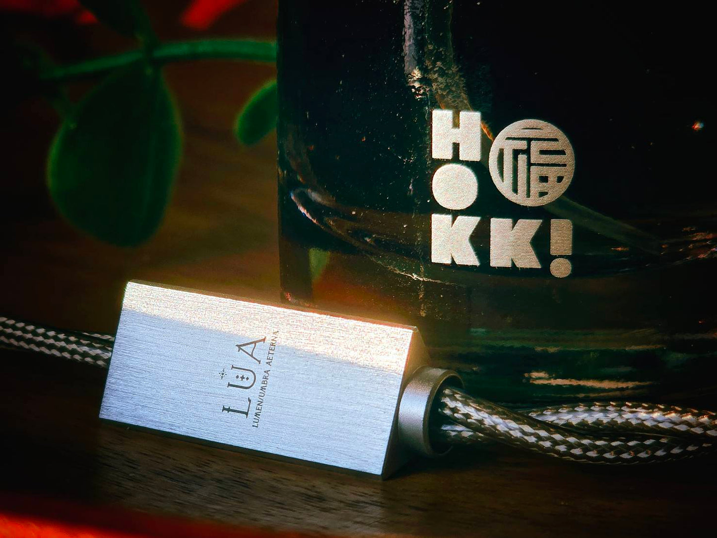 Rossi & Wing LUA Gaze 凝視 耳機升級線 | 4.4mm（平衡）CM 0.78（2-PIN）