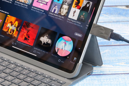 iFi SilentPower iSilencer+ USB 音訊降噪器