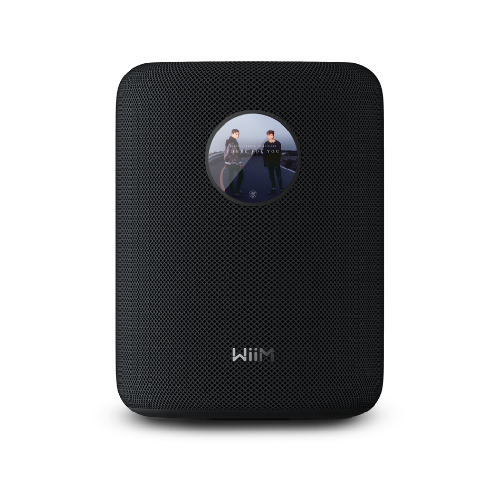 WiiM Sound 智慧音響｜AI自動空間校正｜Hi-Res高解析WiFi藍牙無線串流｜100W輸出｜Dolby 5.1環繞/中置