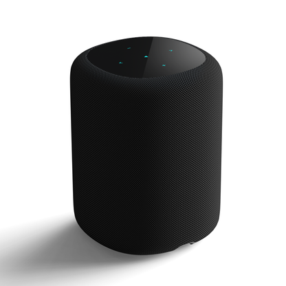 WiiM Sound 智慧音響｜AI自動空間校正｜Hi-Res高解析WiFi藍牙無線串流｜100W輸出｜Dolby 5.1環繞/中置