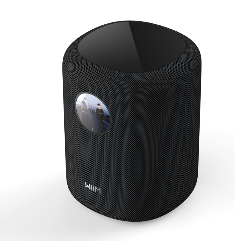 WiiM Sound 智慧音響｜AI自動空間校正｜Hi-Res高解析WiFi藍牙無線串流｜100W輸出｜Dolby 5.1環繞/中置