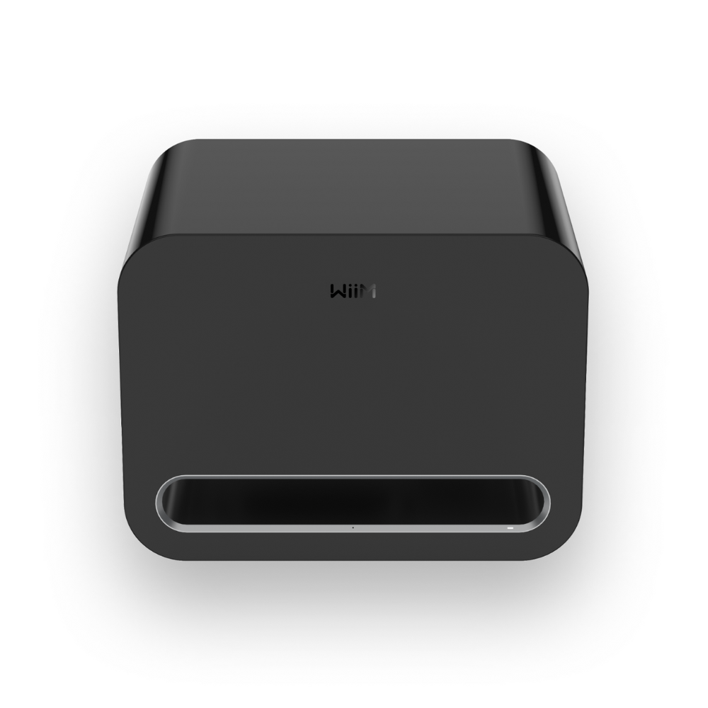 WiiM Sub Pro 無線智慧超低音喇叭｜AI 自動空間校正 RoomFit 250W WiFi 6E 藍牙重低音