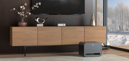 WiiM Sub Pro 無線智慧超低音喇叭｜AI 自動空間校正 RoomFit 250W WiFi 6E 藍牙重低音