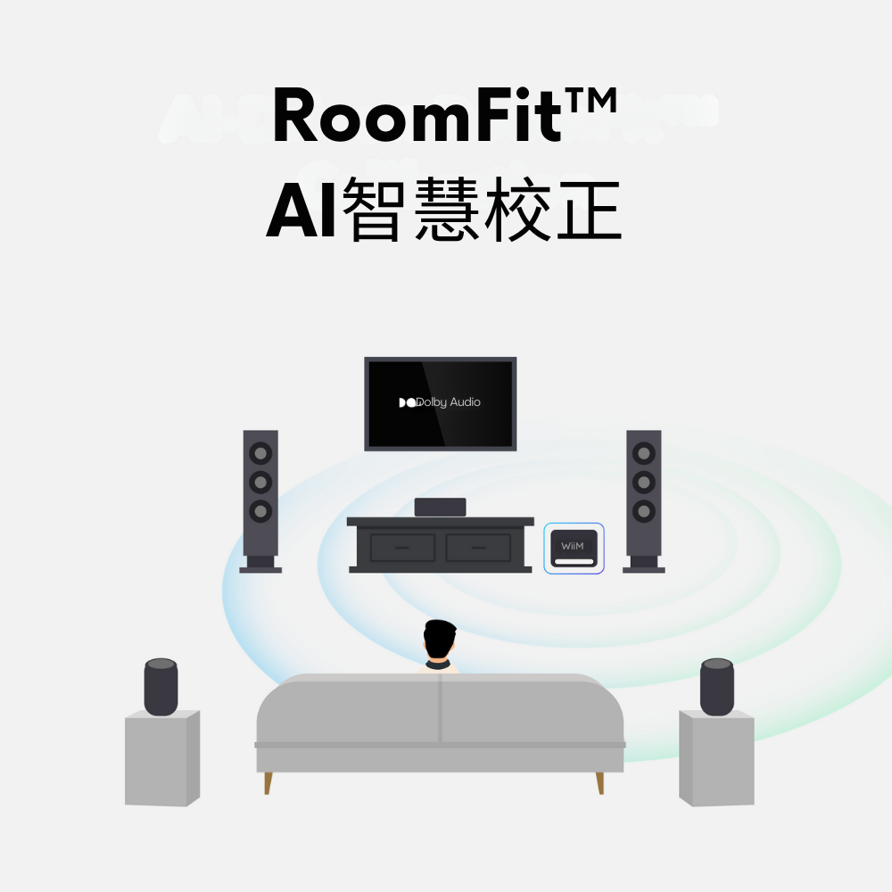 WiiM Sub Pro 無線智慧超低音喇叭｜AI 自動空間校正 RoomFit 250W WiFi 6E 藍牙重低音