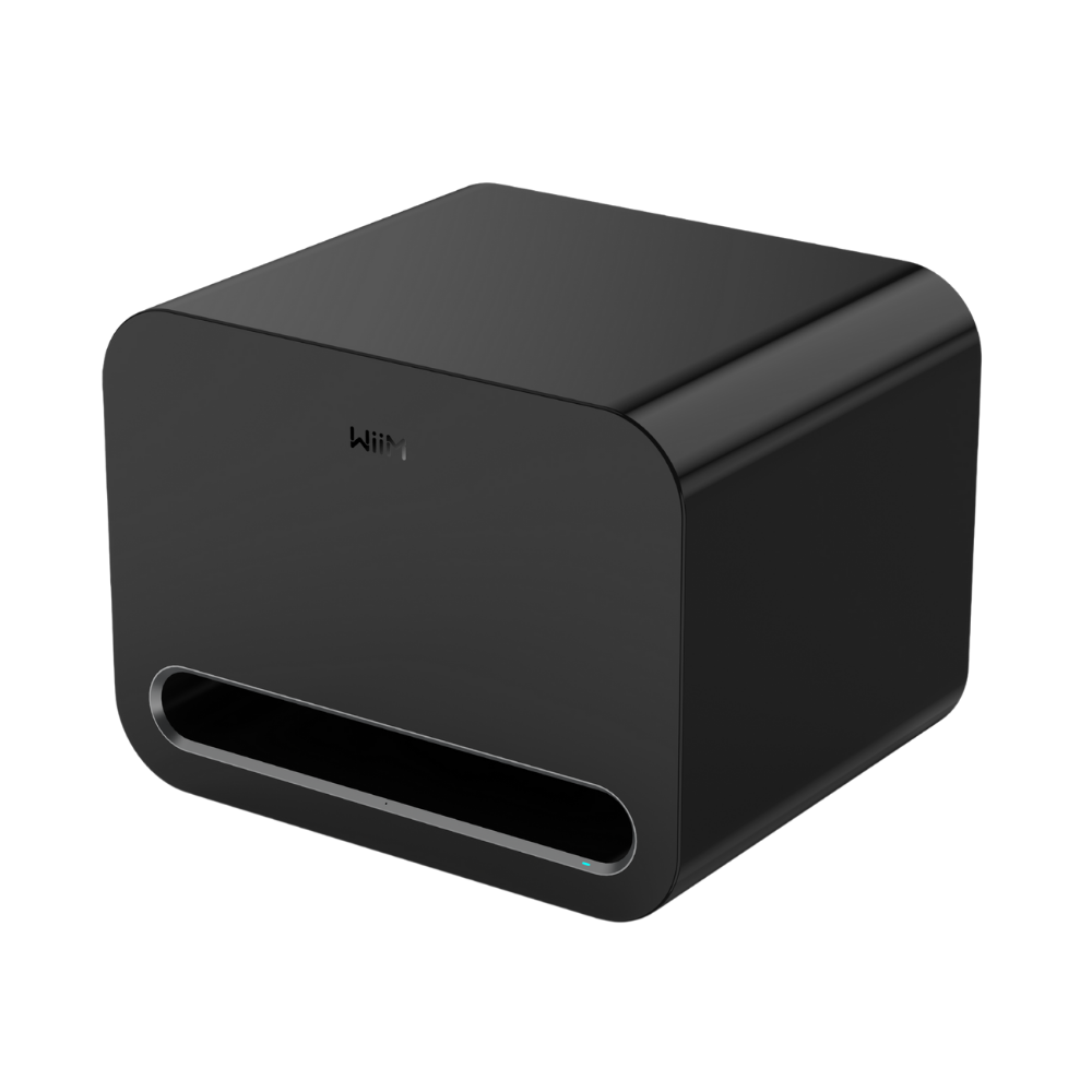 WiiM Sub Pro 無線智慧超低音喇叭｜AI 自動空間校正 RoomFit 250W WiFi 6E 藍牙重低音